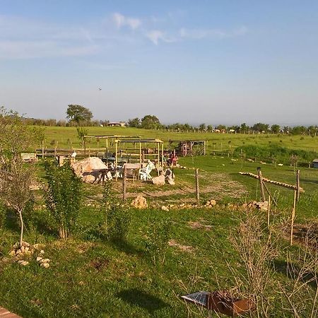 Mario'S Home Sasso  Luaran gambar
